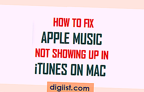 Hur man fixar Apple Music som inte visas i iTunes på Mac