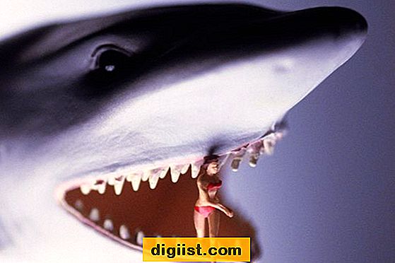 Jak zabít obrovského kraba v „Hladovém žralokovi“