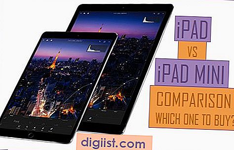 iPad mod iPad Mini sammenligning |  Hvilken man skal købe?