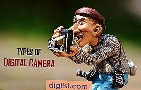 Typer af digitale kameraer, der er tilgængelige på markedet