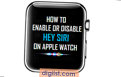 Hoe Hey Siri op Apple Watch in of uit te schakelen