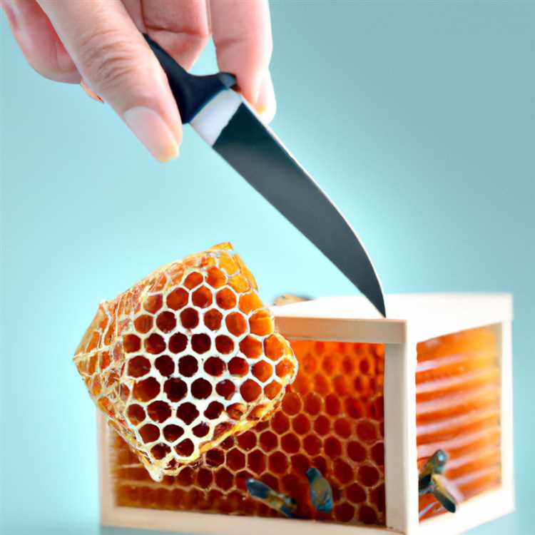 Honey Uygulamasının Rakipleri