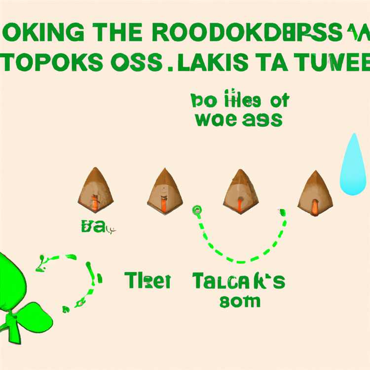 Come raccogliere e utilizzare i semi di Korok in Legend of Zelda Tears of the Kingdom
