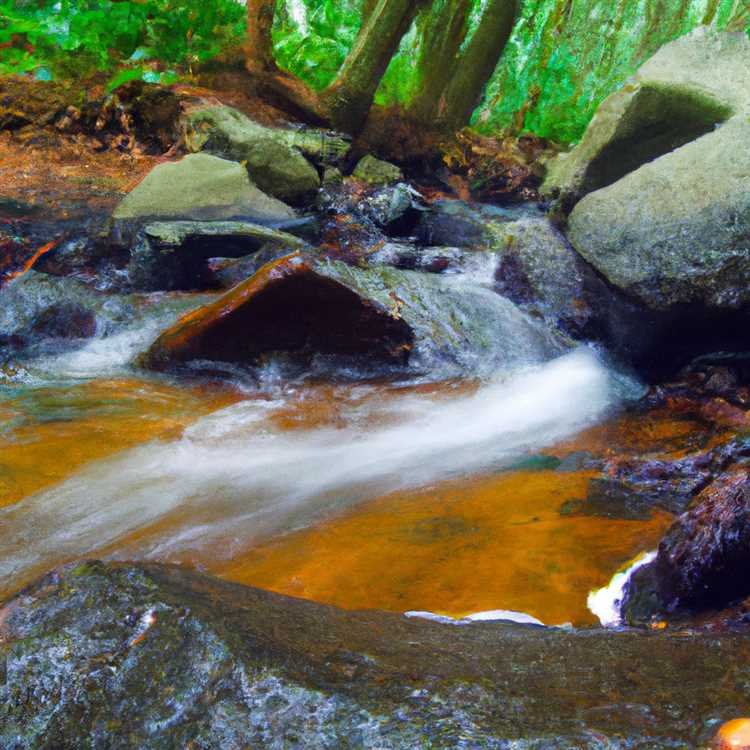 Chơi âm thanh mưa và tiếng ồn xung quanh khác với âm thanh nền