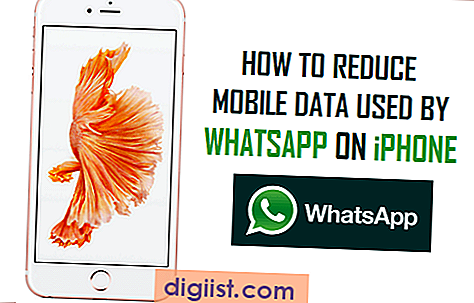 كيفية تقليل البيانات المتنقلة المستخدمة من قبل WhatsApp على iPhone