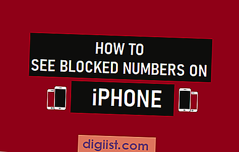 Cómo ver números bloqueados en iPhone