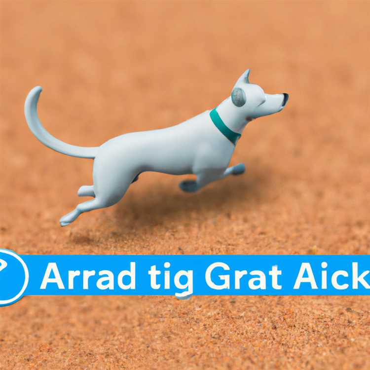 Köpeğinizi takip etmek için AirTag hakkında bilmeniz gerekenler