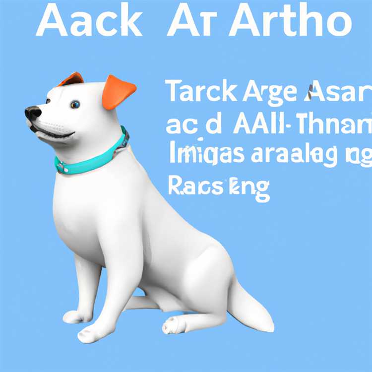 Köpeğinizi takip etmek için AirTag Hakkında Bilmeniz Gerekenler