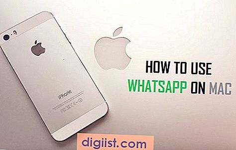 Kako uporabljati WhatsApp v Macu