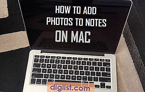 Lägg till foton till anteckningar på Mac