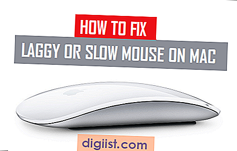 Sådan rettes Laggy eller Slow Mouse på Mac