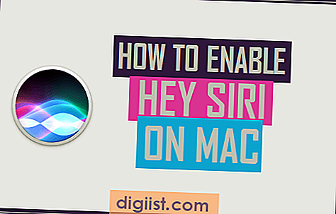 Jak povolit Ahoj Siri na Mac