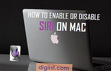Hoe Siri op Mac in of uit te schakelen
