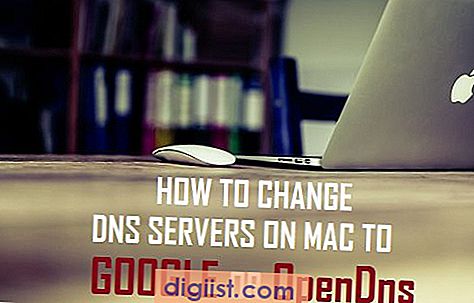 Cómo cambiar los servidores DNS en Mac a Google u OpenDNS