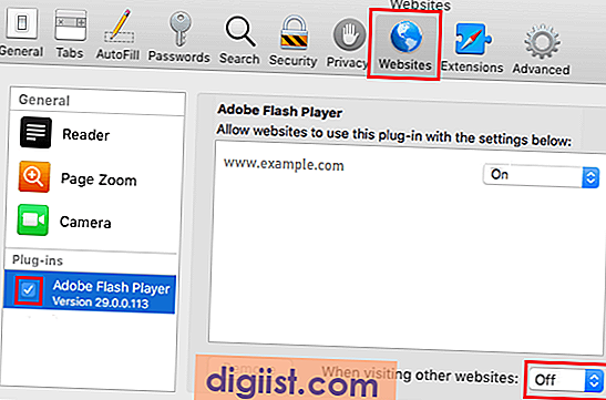 flash player in chrome for mac not working