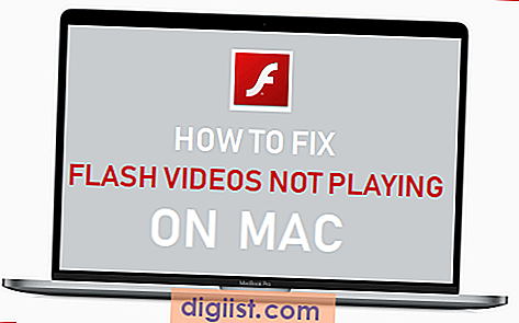 Hur du fixar Flash-videor som inte spelar på Mac