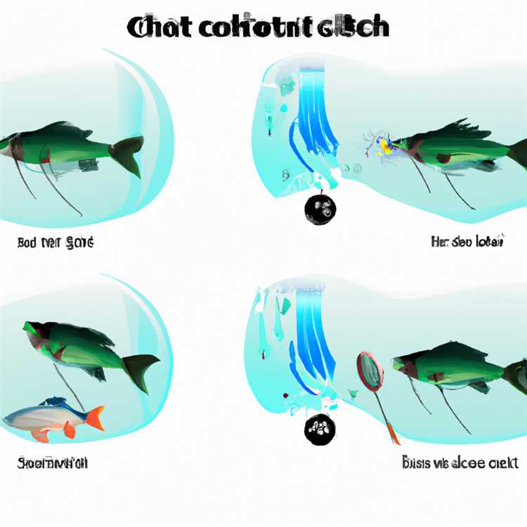 Nasıl Balık Tutulur - Balık Tutma Teknikleri ve İpuçları