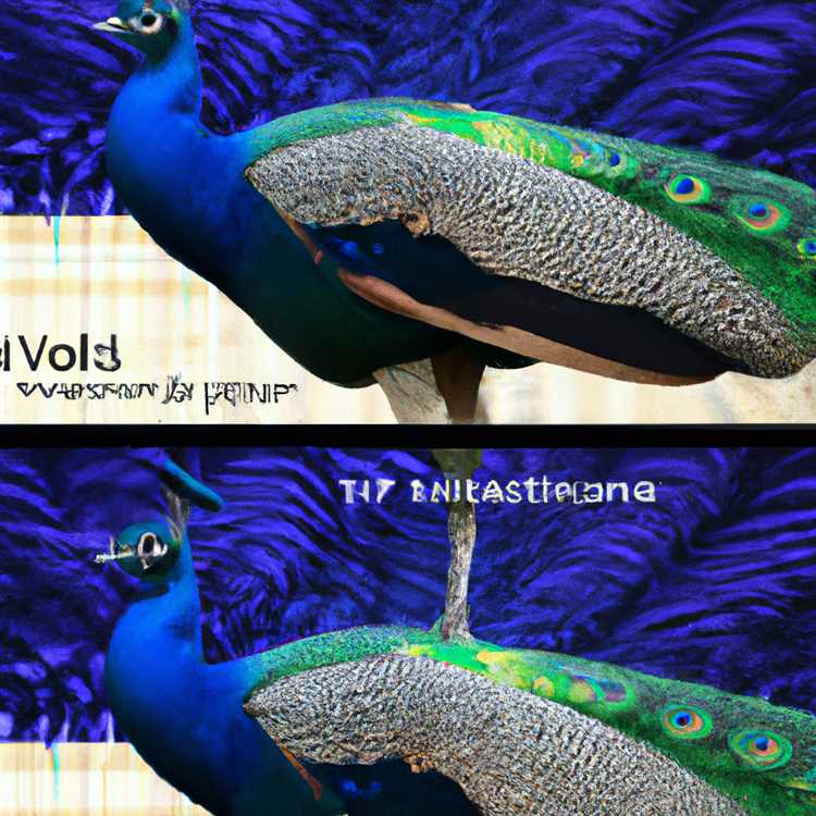 Peacock ve Vudu'da yanlış görüntü oranları