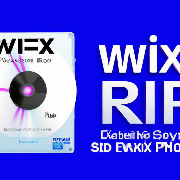 Bewertung des WinX DVD Rippers - Sicher, kostenlos und leistungsstark?
