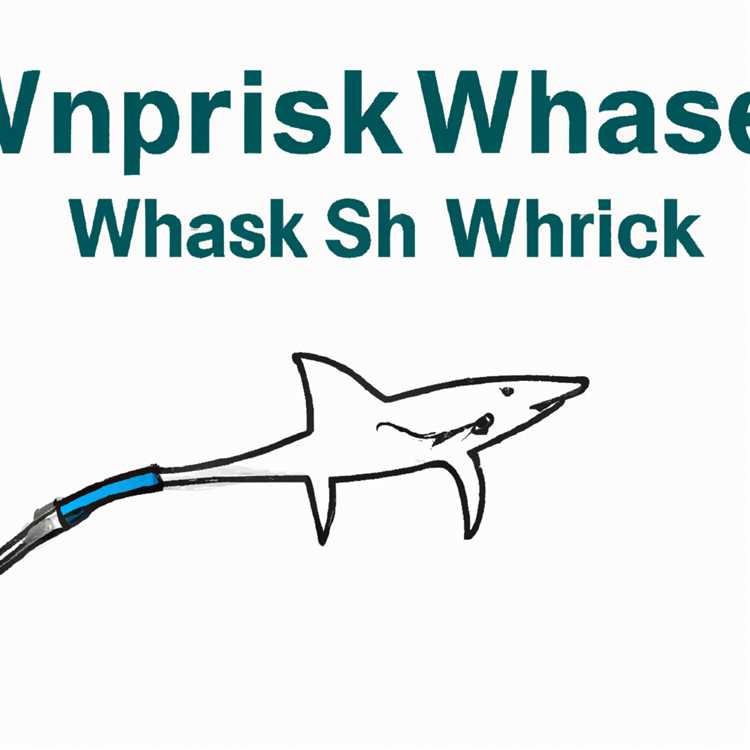 Wireshark Nasıl Kullanılır